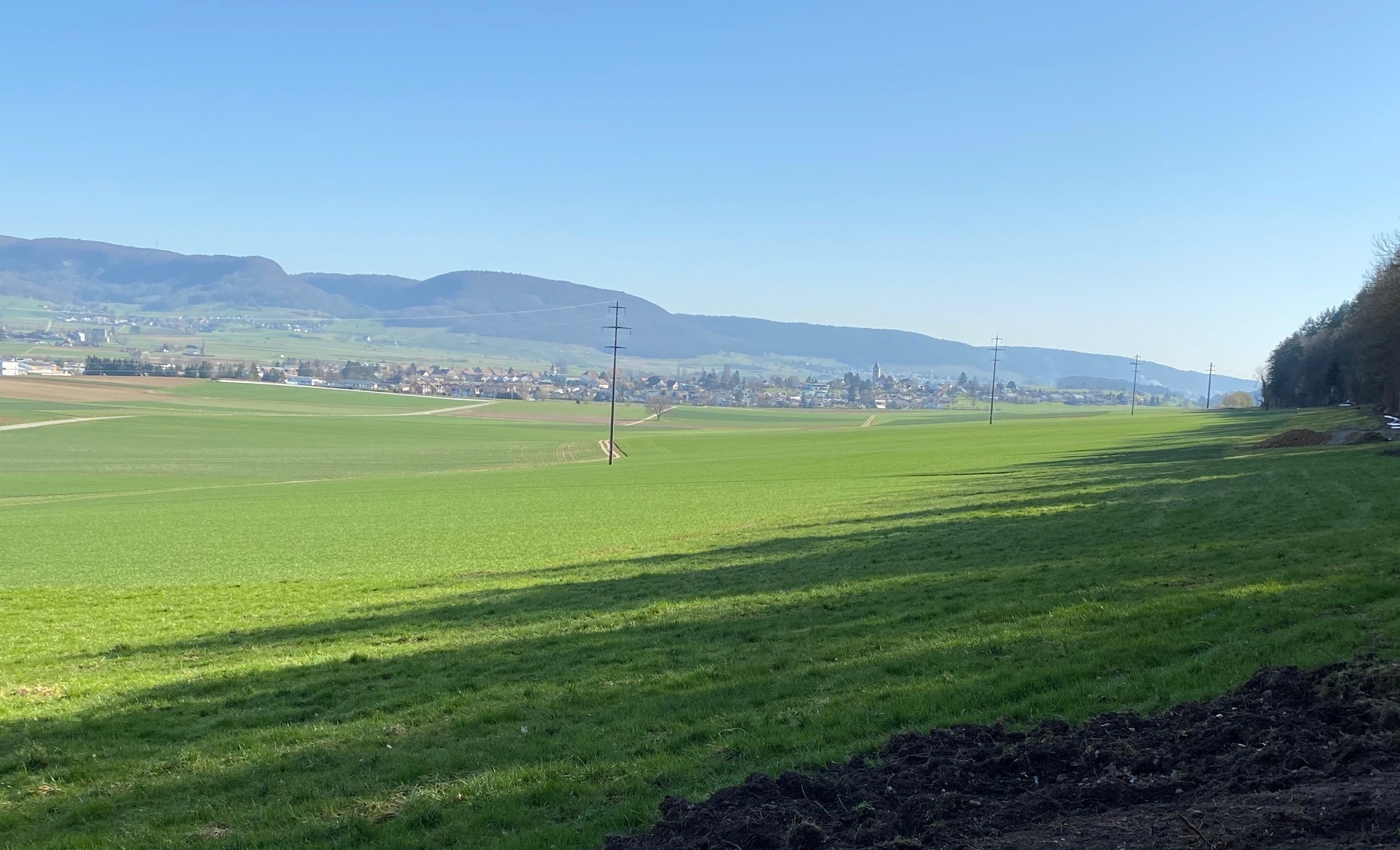 The Schaffhausen nature park – soon without power masts